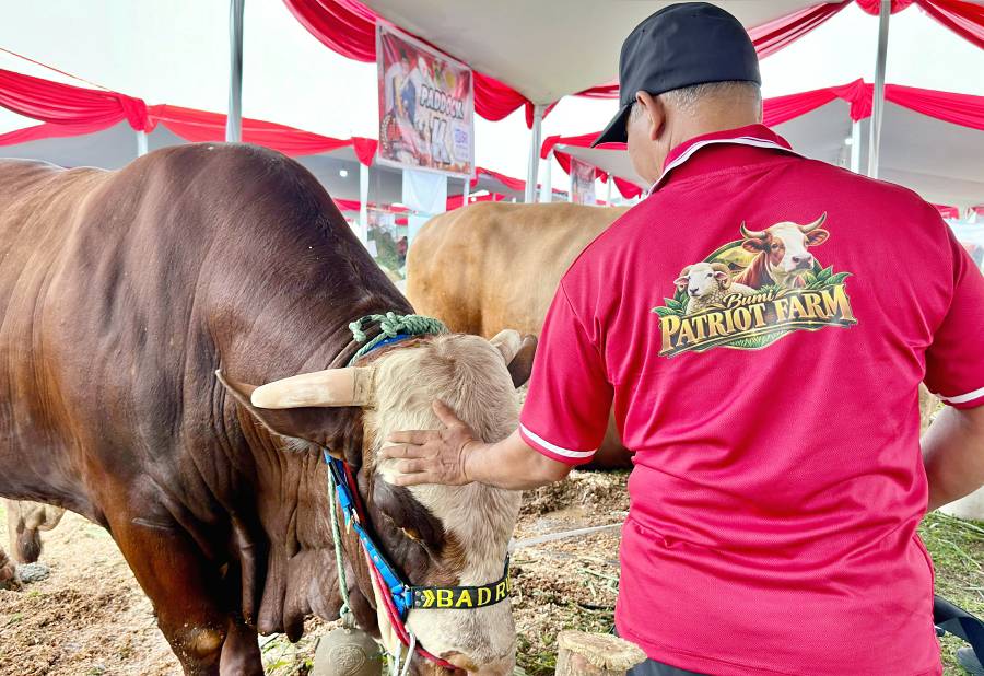 Diskominfo Kab. Bogor