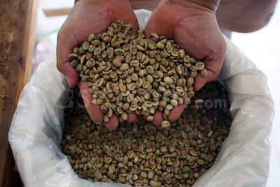 Kementerian UMKM Targetkan Indonesia Sumbang Sepuluh Persen Kebutuhan Kopi Global