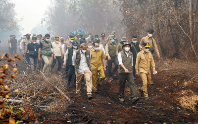 Menhut Tinjau Kebakaran Hutan Taman Nasional Sebangau