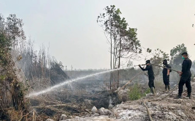 Tim Siaga Terus Berjuang Padamkan Karhutla di Kalimantan Selatan