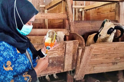 Puskeswan Bandung Rutin Gelar Layanan Posterling