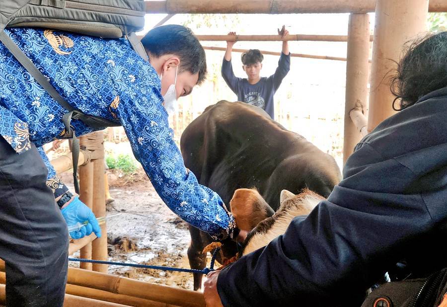 [Dinas Pertanian Kab. Bandung]