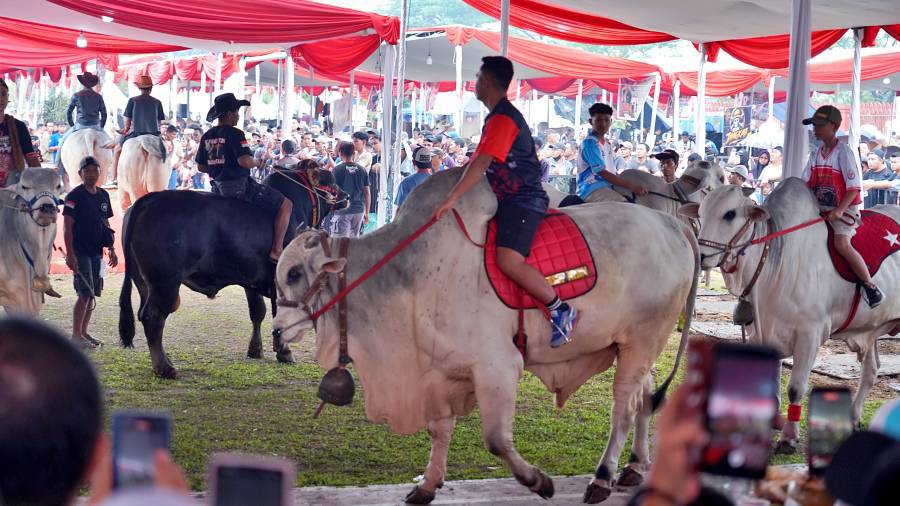 Diskominfo Kabupaten Bogor
