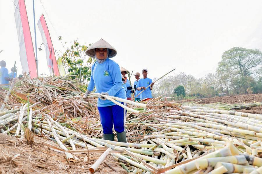 Dok. Admin Prokopim Klaten