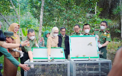 Wagub Lampung Dorong Pengawasan Dan Kelestarian Hutan