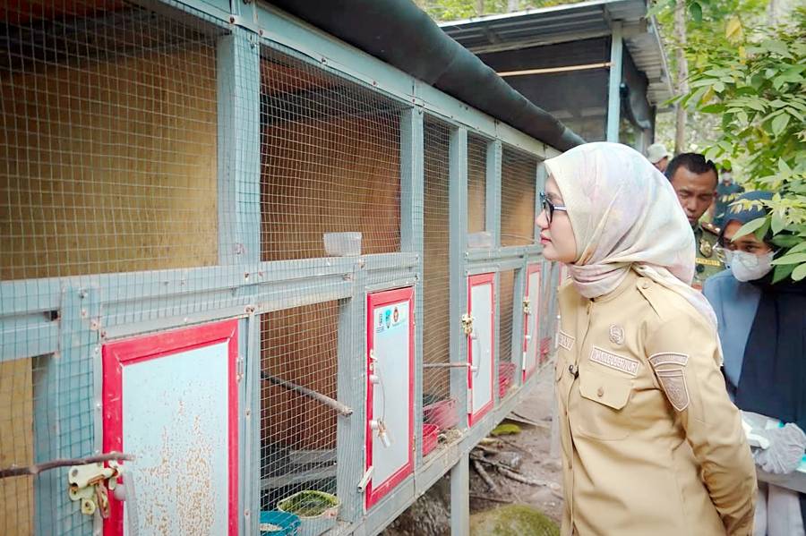 Dok. UPTD Tahura Wan Abdul Rachman