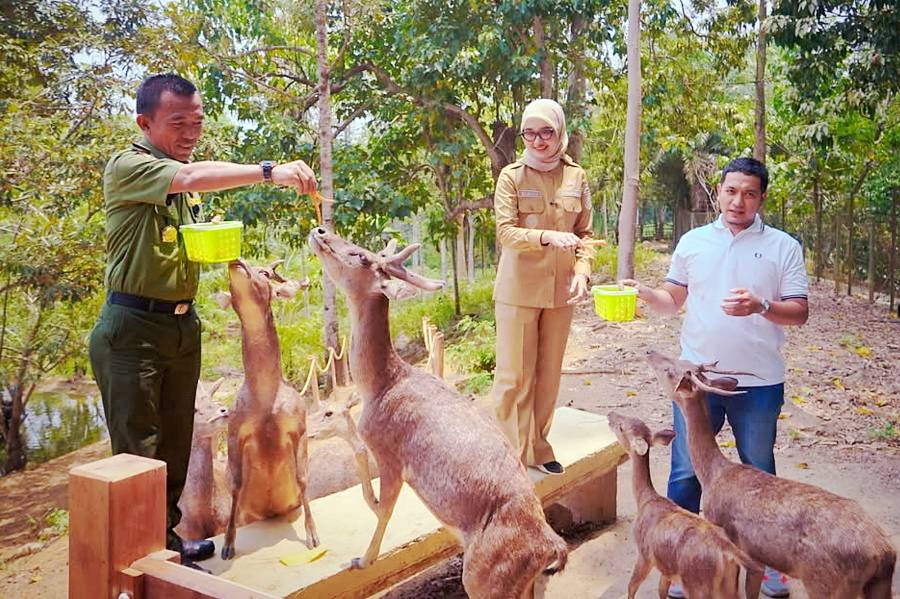 Dok. UPTD Tahura Wan Abdul Rachman